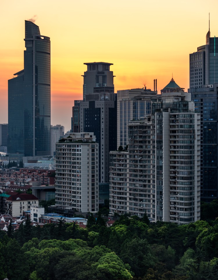 Skyline Elevation