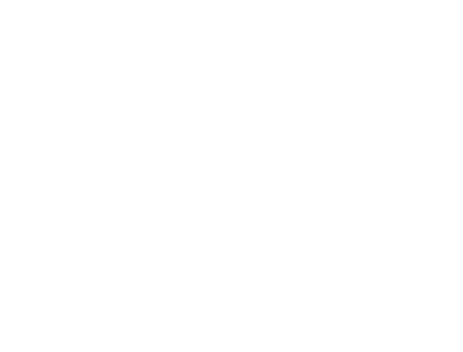 Mirai Avinya Group